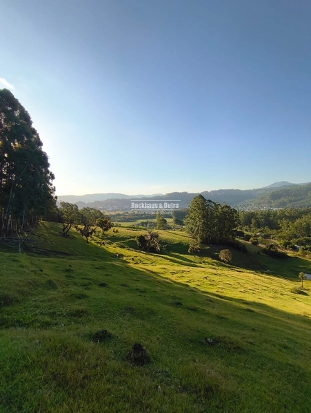 Rolante - Chácara de 5,5 hectares - Linha Reichert: 6ª foto da galeria de imagens do imóvel