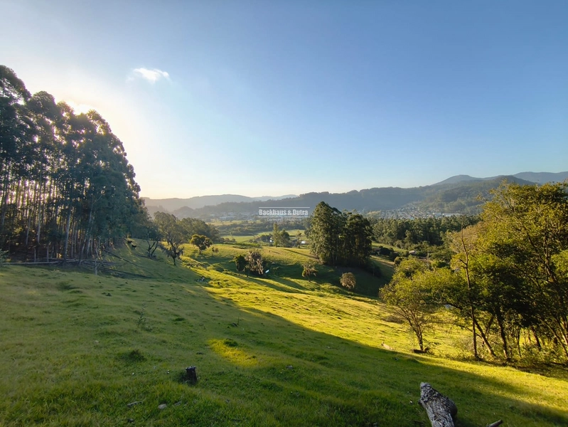 Rolante - Chácara de 5,5 hectares - Linha Reichert: 7ª foto da galeria de imagens do imóvel