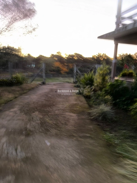 SANTO ANTÔNIO DA PATRULHA - CHÁCARA -24 HECTARES: 11ª foto da galeria de imagens do imóvel