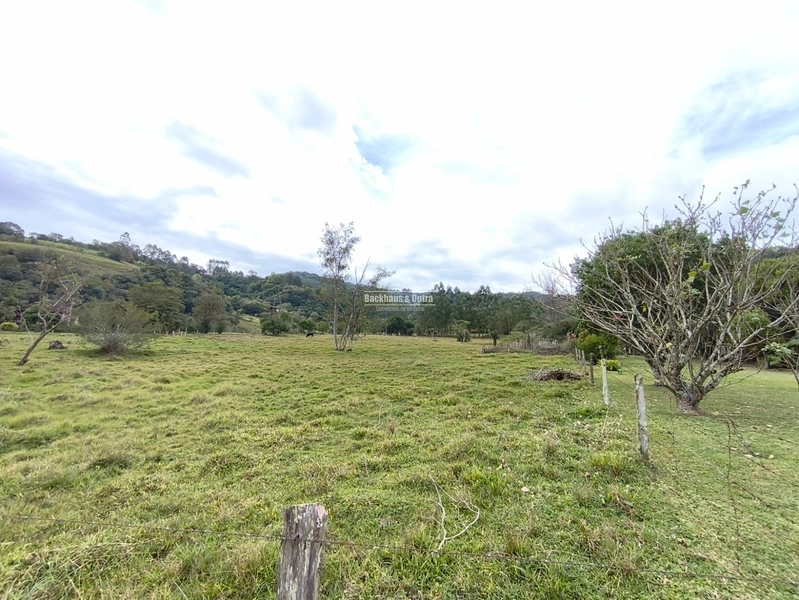 TAQUARA - CHÁCARA COM 2,5 HECTARES - Rio da Ilha: 7ª foto da galeria de imagens do imóvel