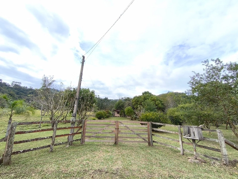 TAQUARA - CHÁCARA COM 2,5 HECTARES - Rio da Ilha: 9ª foto da galeria de imagens do imóvel