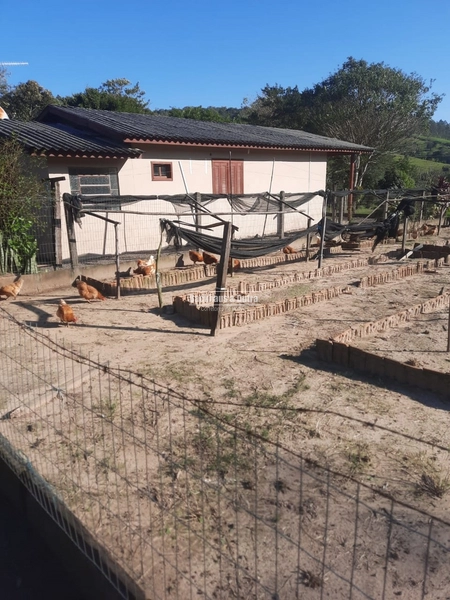 TAQUARA - CHÁCARA COM 2,5 HECTARES - Rio da Ilha: 2ª foto da galeria de imagens do imóvel