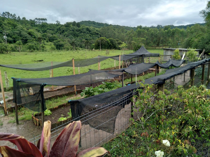 TAQUARA - CHÁCARA COM 2,5 HECTARES - Rio da Ilha: 14ª foto da galeria de imagens do imóvel