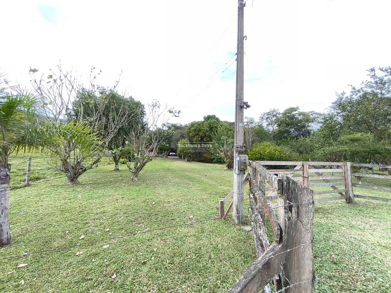 TAQUARA - CHÁCARA COM 2,5 HECTARES - Rio da Ilha: 10ª foto da galeria de imagens do imóvel