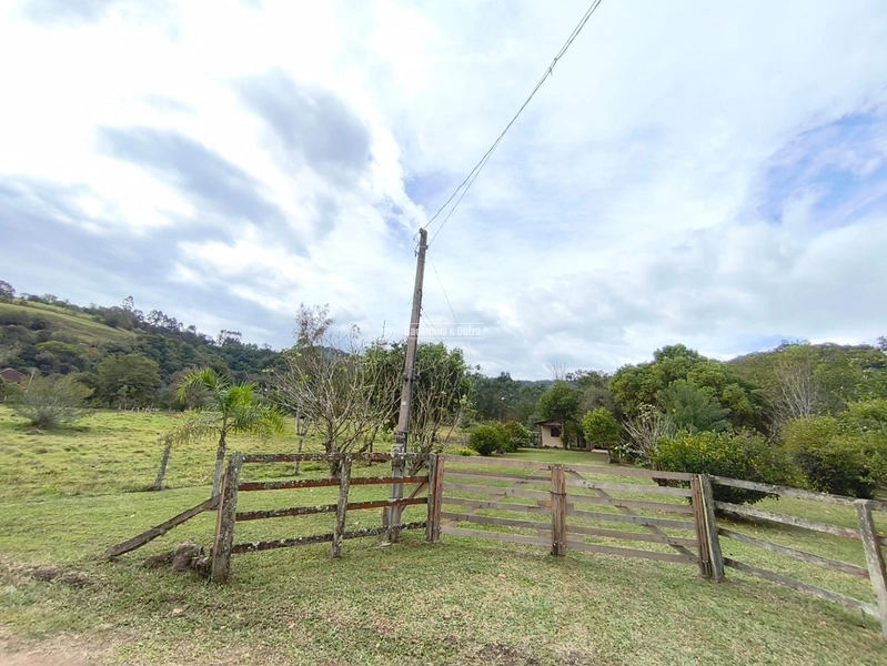 TAQUARA - CHÁCARA COM 2,5 HECTARES - Rio da Ilha: 8ª foto da galeria de imagens do imóvel