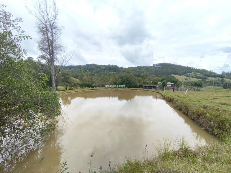 TAQUARA - CHÁCARA COM 2,5 HECTARES - Rio da Ilha: 15ª foto da galeria de imagens do imóvel