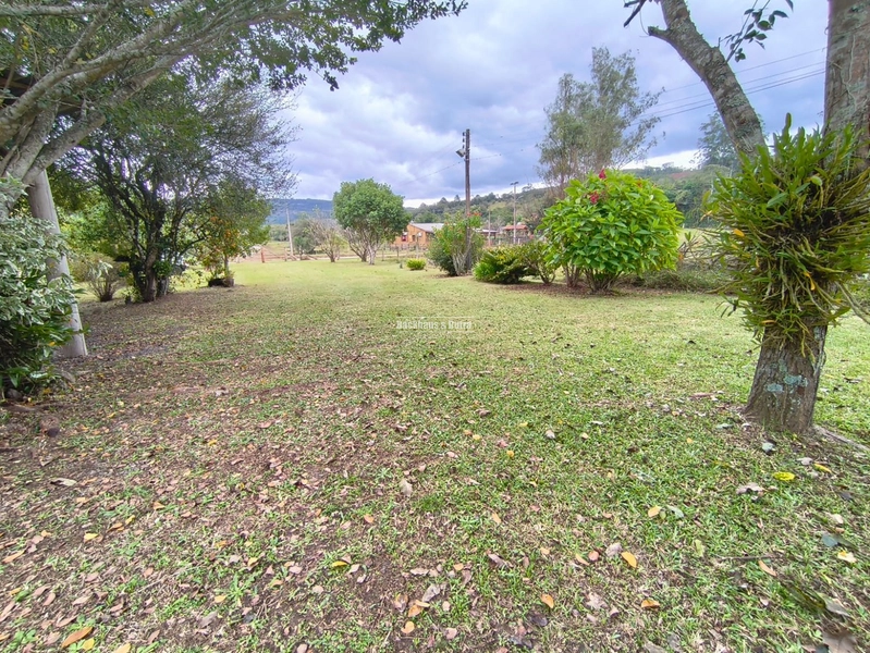 TAQUARA - CHÁCARA COM 2,5 HECTARES - Rio da Ilha: 20ª foto da galeria de imagens do imóvel