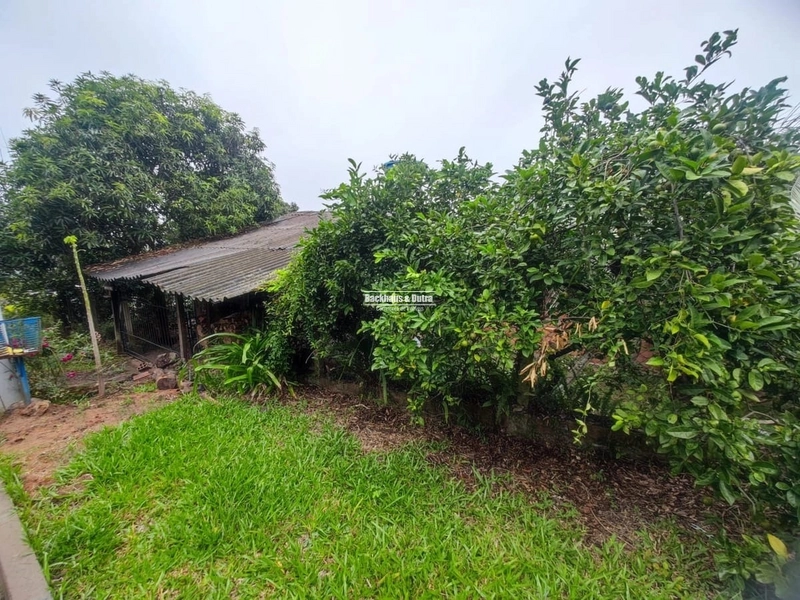 Rolante - Casa de esquina em alvenaria - Rio Branco: 15ª foto da galeria de imagens do imóvel