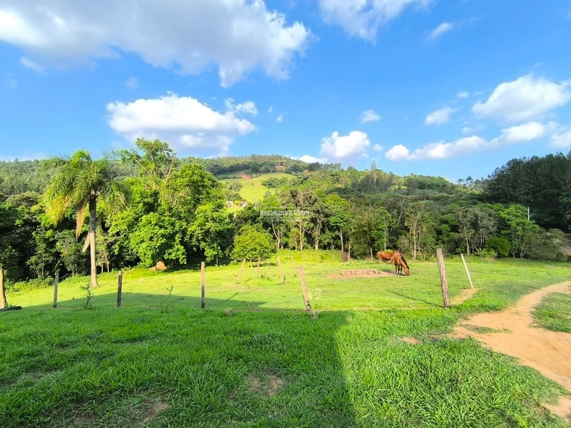 ROLANTE-CHÁCARA 3,8 HECTARES COM LINDA CASA - CAMPINAS 1: 19ª foto da galeria de imagens do imóvel
