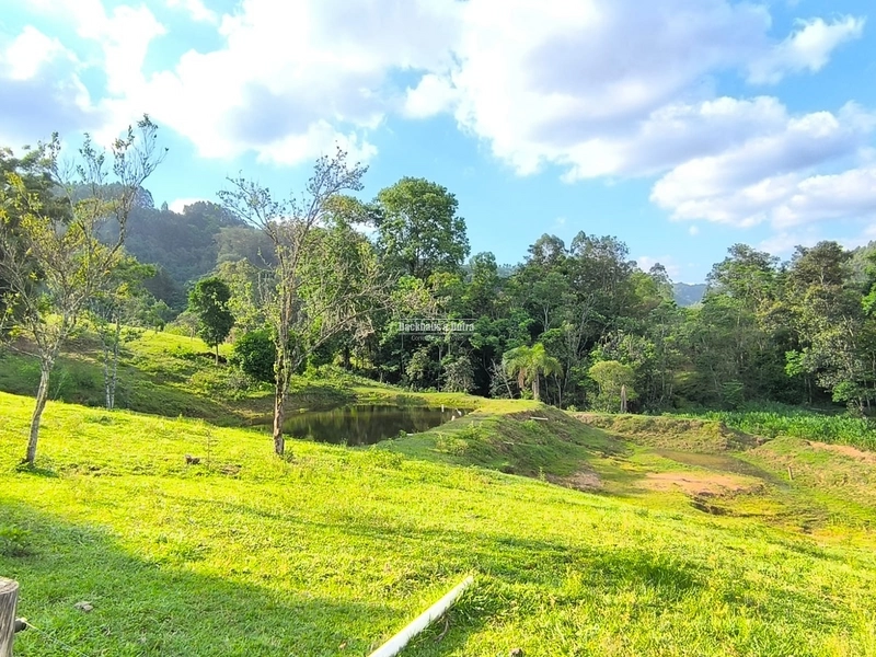 ROLANTE-CHÁCARA 3,8 HECTARES COM LINDA CASA - CAMPINAS 1: 13ª foto da galeria de imagens do imóvel