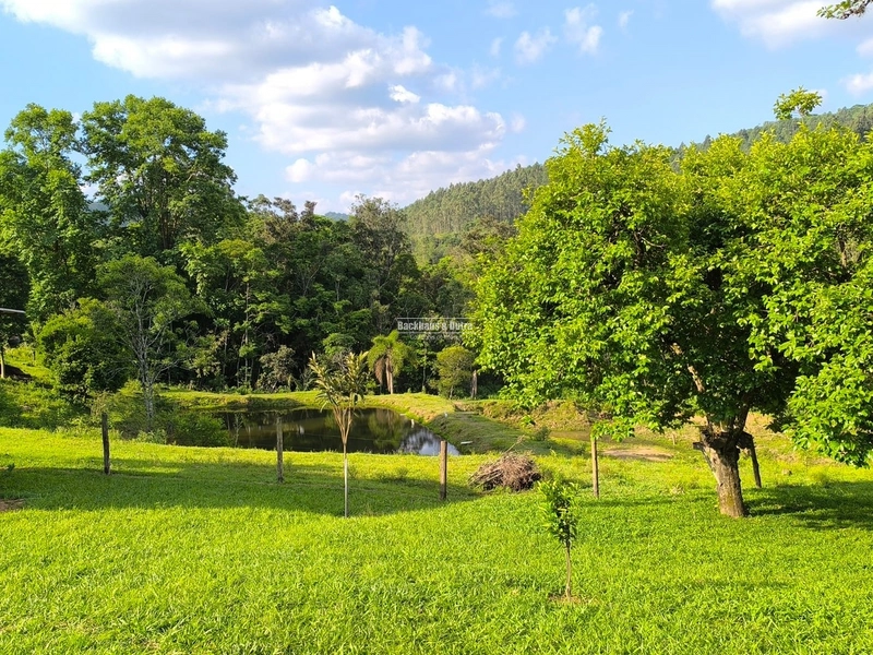 ROLANTE-CHÁCARA 3,8 HECTARES COM LINDA CASA - CAMPINAS 1: 6ª foto da galeria de imagens do imóvel
