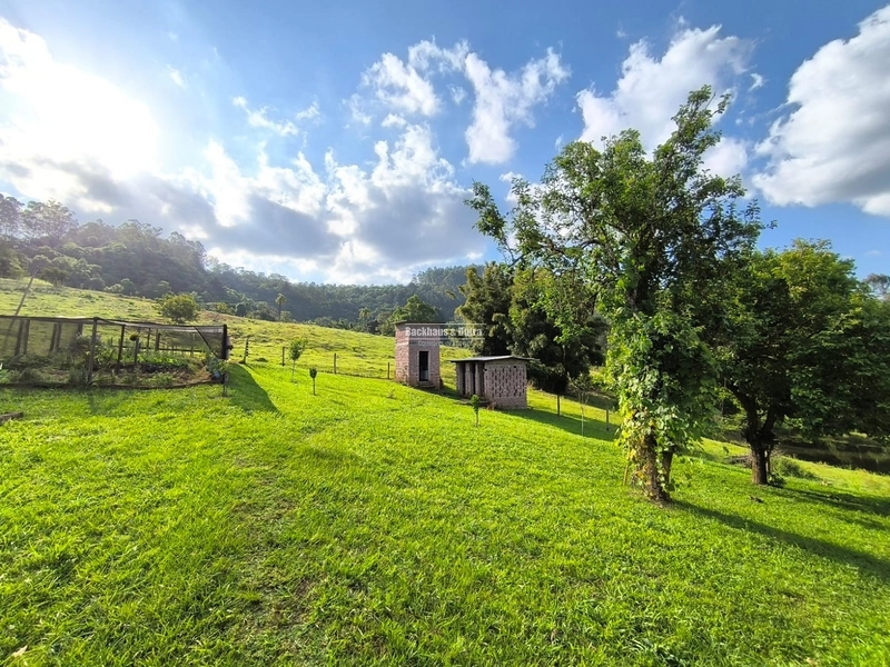ROLANTE-CHÁCARA 3,8 HECTARES COM LINDA CASA - CAMPINAS 1: 12ª foto da galeria de imagens do imóvel