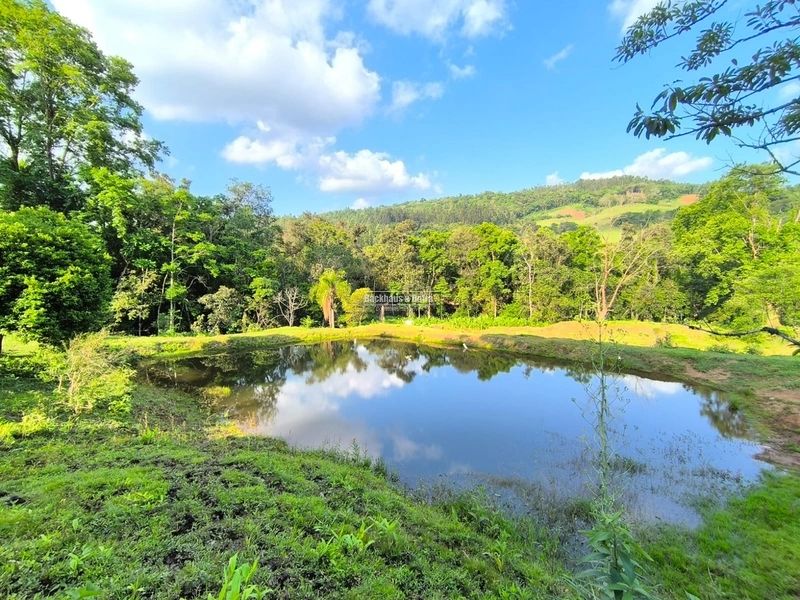 ROLANTE-CHÁCARA 3,8 HECTARES COM LINDA CASA - CAMPINAS 1: 14ª foto da galeria de imagens do imóvel