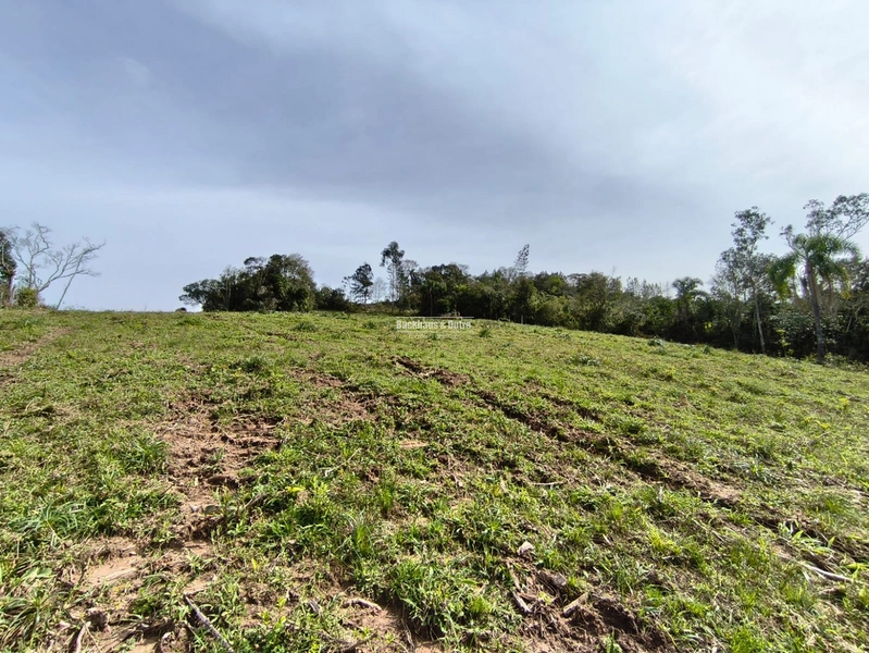 ROLANTE- CHÁCARA DE 5.8 HECTARES- PERTO DA ERS239: 2ª foto da galeria de imagens do imóvel