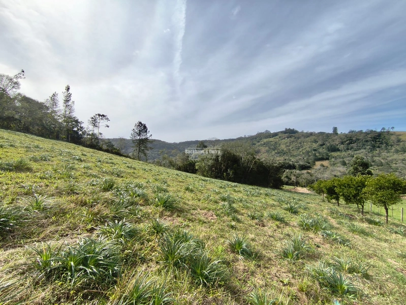 ROLANTE- CHÁCARA DE 5.8 HECTARES- PERTO DA ERS239: 7ª foto da galeria de imagens do imóvel