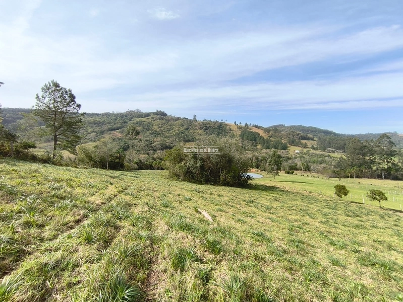 ROLANTE- CHÁCARA DE 5.8 HECTARES- PERTO DA ERS239: 4ª foto da galeria de imagens do imóvel