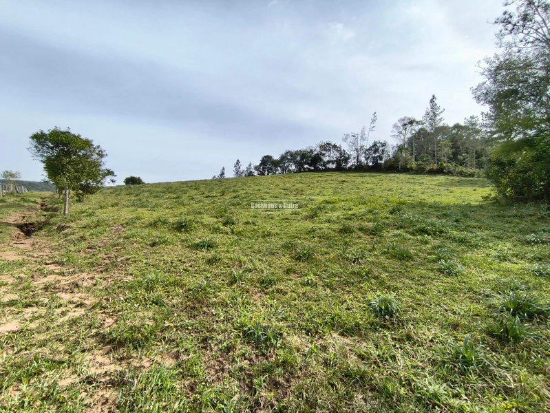 ROLANTE- CHÁCARA DE 5.8 HECTARES- PERTO DA ERS239: 3ª foto da galeria de imagens do imóvel
