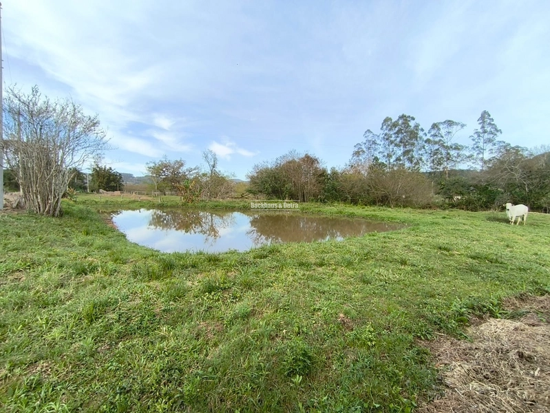 ROLANTE- CHÁCARA DE 5.8 HECTARES- PERTO DA ERS239: 12ª foto da galeria de imagens do imóvel