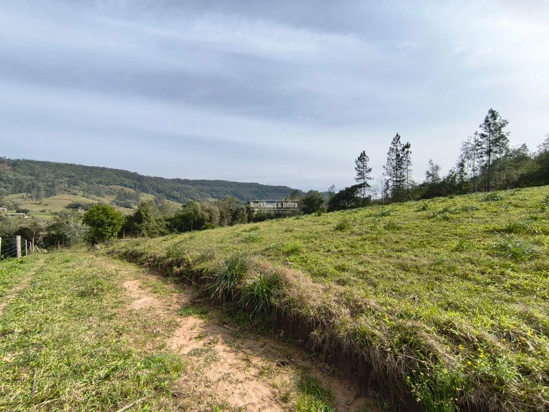 ROLANTE- CHÁCARA DE 5.8 HECTARES- PERTO DA ERS239: 9ª foto da galeria de imagens do imóvel