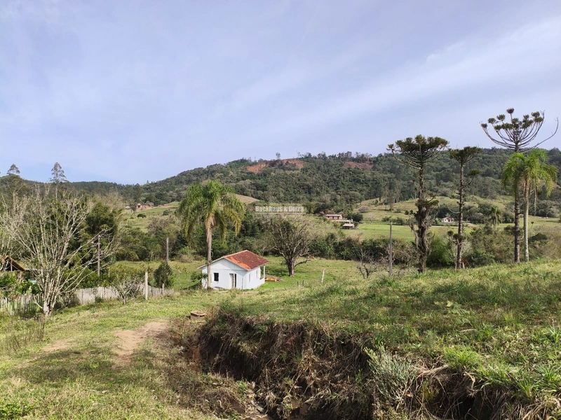 ROLANTE- CHÁCARA DE 5.8 HECTARES- PERTO DA ERS239: 8ª foto da galeria de imagens do imóvel