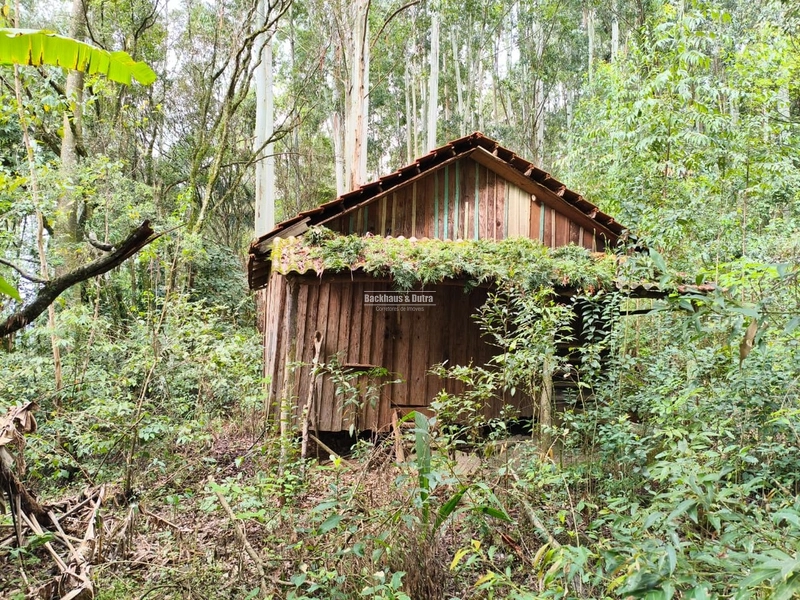 ROLANTE- PROPRIEDADE RURAL DE 9 HECTARES- CANTA GALO: 4ª foto da galeria de imagens do imóvel