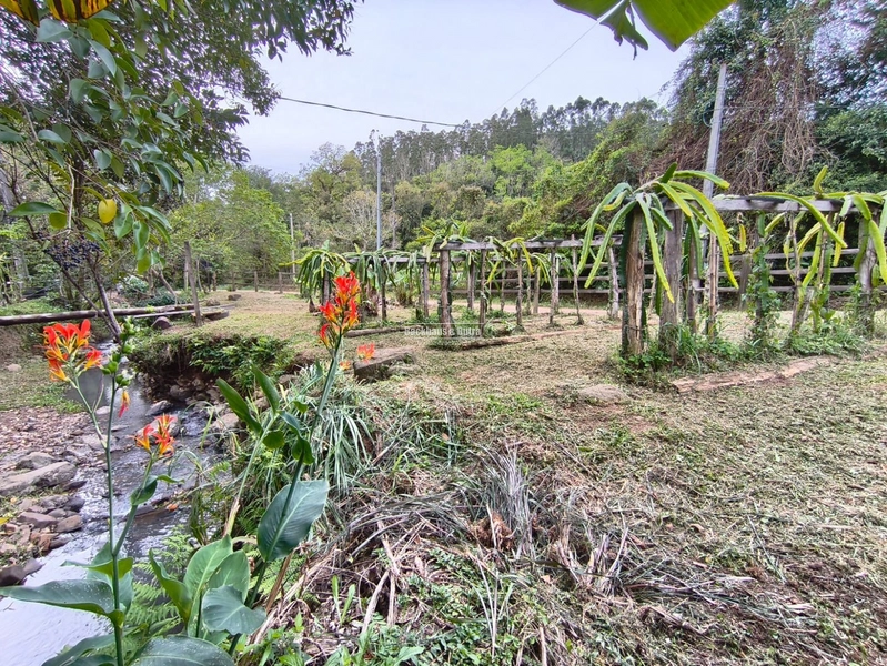 ROLANTE - CABANA MISTA COM 35M²- ERS 239: 9ª foto da galeria de imagens do imóvel