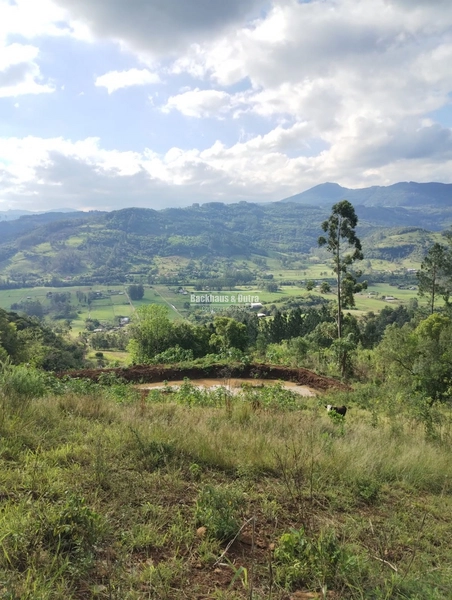 ROLANTE- CHÁCARA DE 1 HECTARE-LINHA PETRY: 1ª foto da galeria de imagens do imóvel