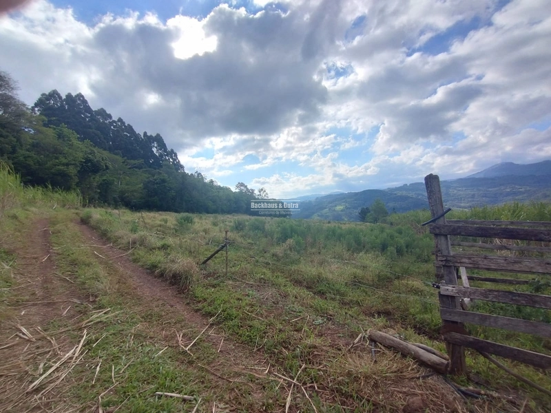 ROLANTE- CHÁCARA DE 1 HECTARE-LINHA PETRY: 2ª foto da galeria de imagens do imóvel