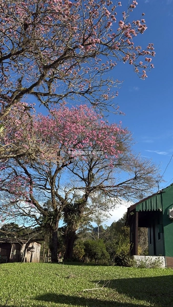 ROLANTE- PROPRIEDADE COM 2.040M² - MASCARADA: 20ª foto da galeria de imagens do imóvel