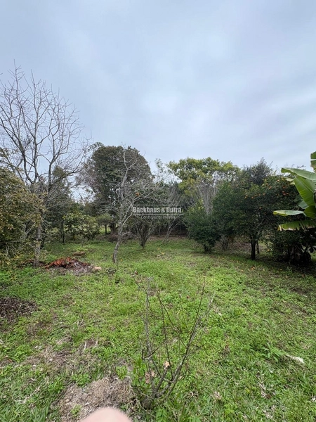 ROLANTE- PROPRIEDADE COM 2.040M² - MASCARADA: 15ª foto da galeria de imagens do imóvel