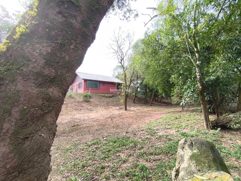 ROLANTE- CHÁCARA COM 2.900M² - KM15: 7ª foto da galeria de imagens do imóvel