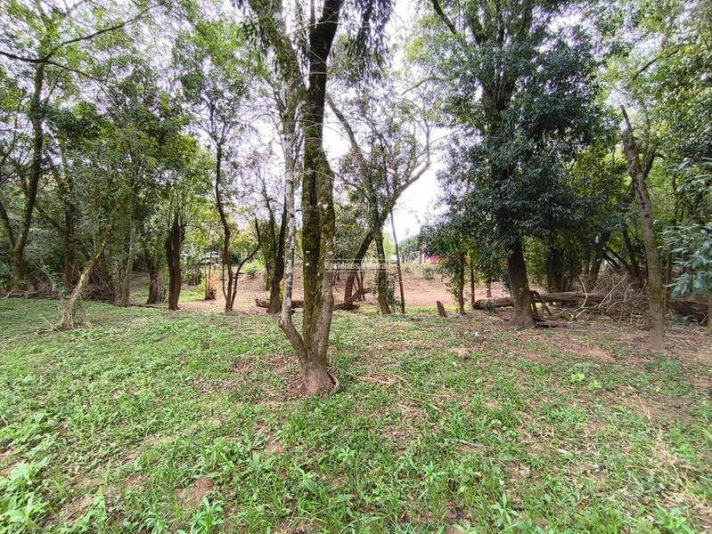 ROLANTE- CHÁCARA COM 2.900M² - KM15: 16ª foto da galeria de imagens do imóvel