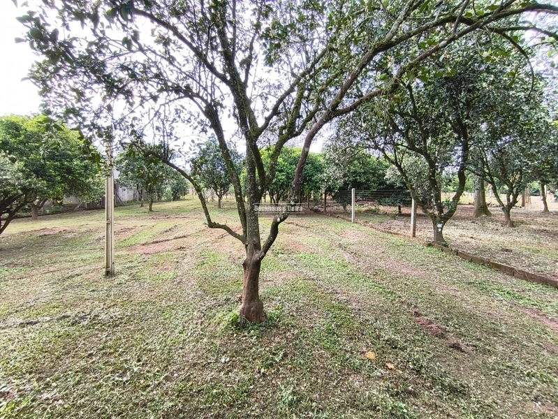 ROLANTE- CHÁCARA COM 2.900M² - KM15: 6ª foto da galeria de imagens do imóvel