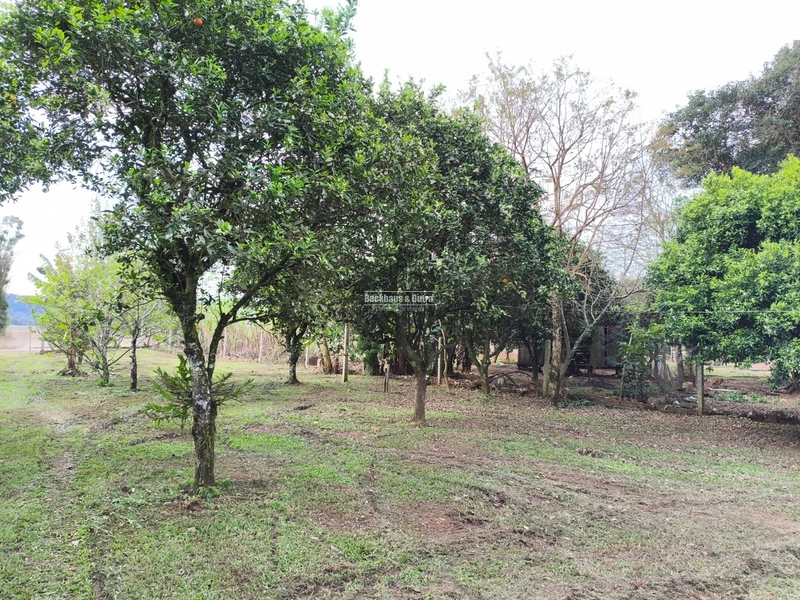 ROLANTE- CHÁCARA COM 2.900M² - KM15: 2ª foto da galeria de imagens do imóvel