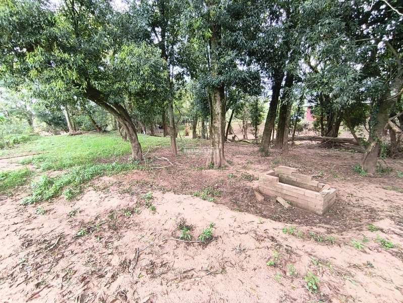 ROLANTE- CHÁCARA COM 2.900M² - KM15: 13ª foto da galeria de imagens do imóvel