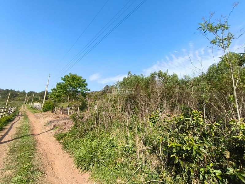 ROLANTE - CHÁCARA DE 2.595M²- CANTO DOS CARDOSO: 6ª foto da galeria de imagens do imóvel