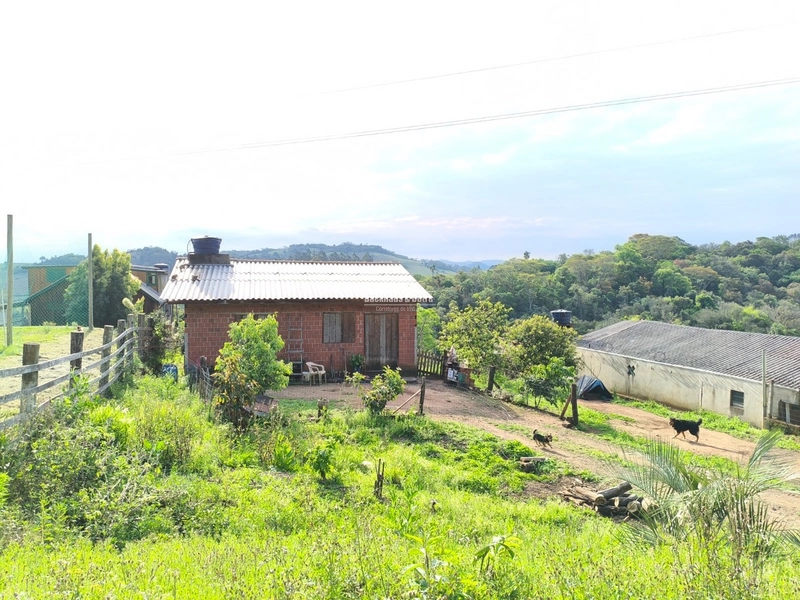ROLANTE - CHÁCARA DE 2.595M²- CANTO DOS CARDOSO: 5ª foto da galeria de imagens do imóvel