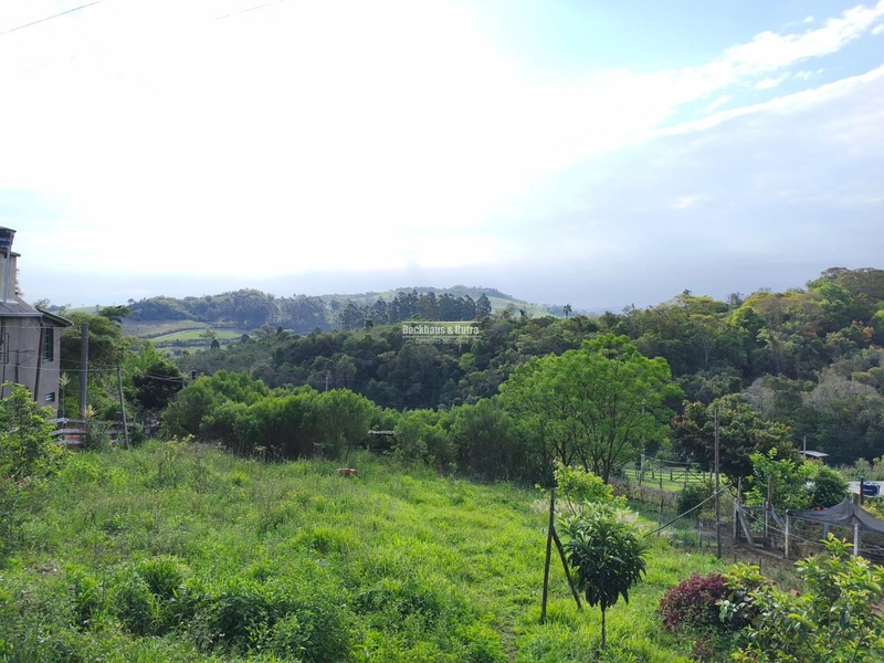 ROLANTE - CHÁCARA DE 2.595M²- CANTO DOS CARDOSO: 7ª foto da galeria de imagens do imóvel