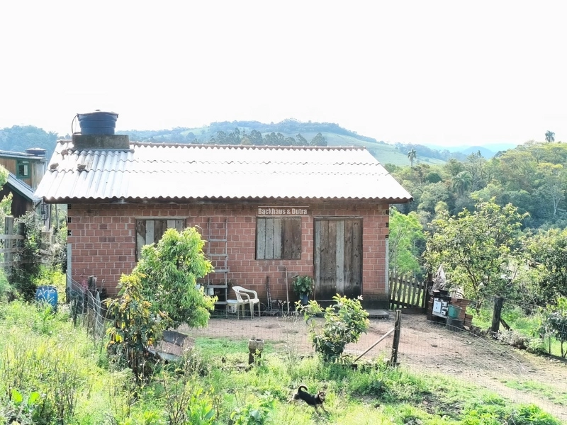 ROLANTE - CHÁCARA DE 2.595M²- CANTO DOS CARDOSO: 9ª foto da galeria de imagens do imóvel