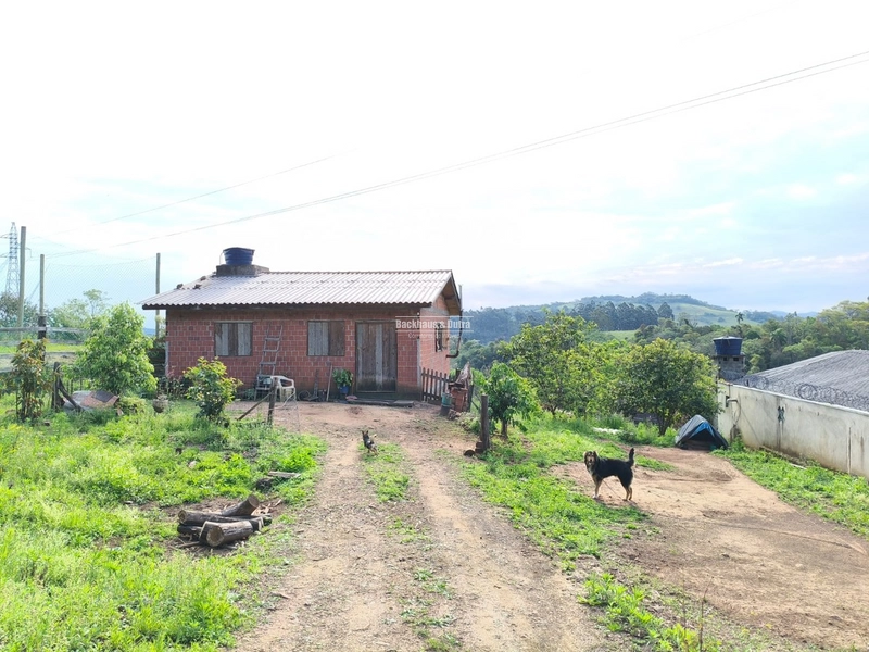 ROLANTE - CHÁCARA DE 2.595M²- CANTO DOS CARDOSO: 1ª foto da galeria de imagens do imóvel