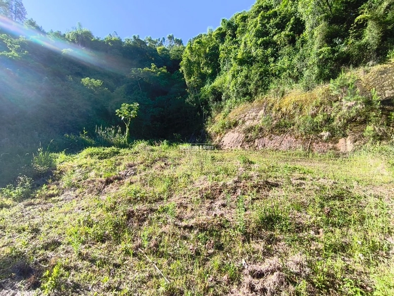 ROLANTE-TERRENO DE 360M²-CENTRO: 1ª foto da galeria de imagens do imóvel