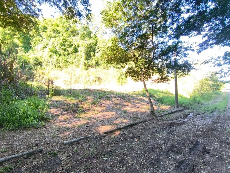 ROLANTE-TERRENO DE 360M²-CENTRO: 5ª foto da galeria de imagens do imóvel