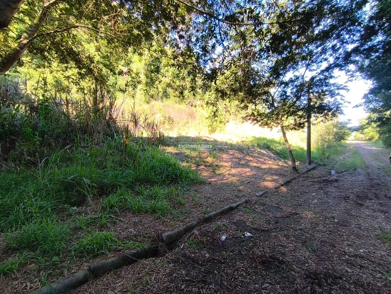 ROLANTE-TERRENO DE 360M²-CENTRO: 6ª foto da galeria de imagens do imóvel