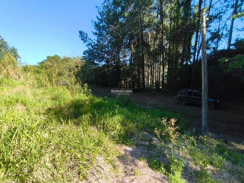 ROLANTE-TERRENO DE 360M²-CENTRO: 4ª foto da galeria de imagens do imóvel