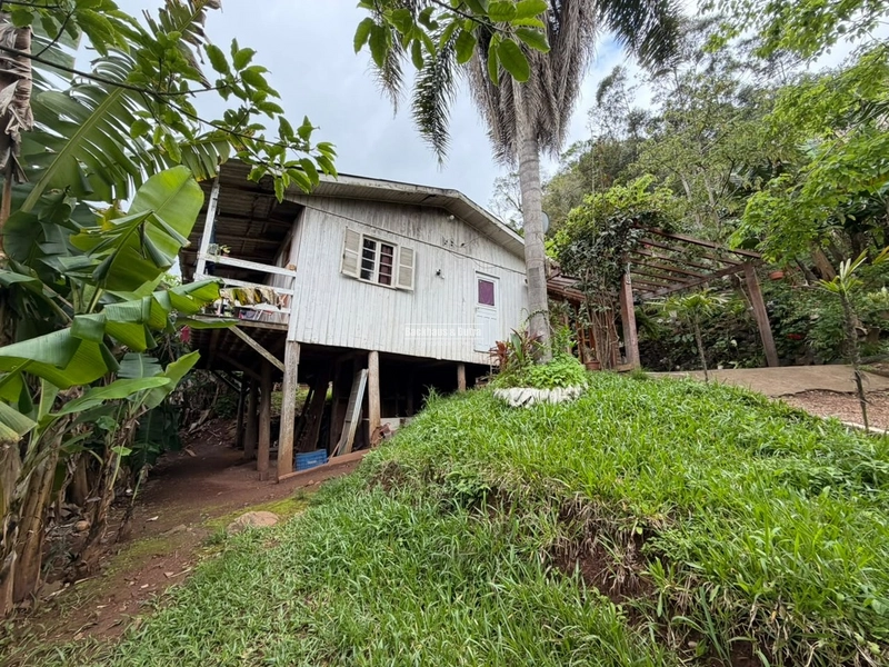 ROLANTE -SÍTIO DE 1 HECTARE -GLORIA: 7ª foto da galeria de imagens do imóvel