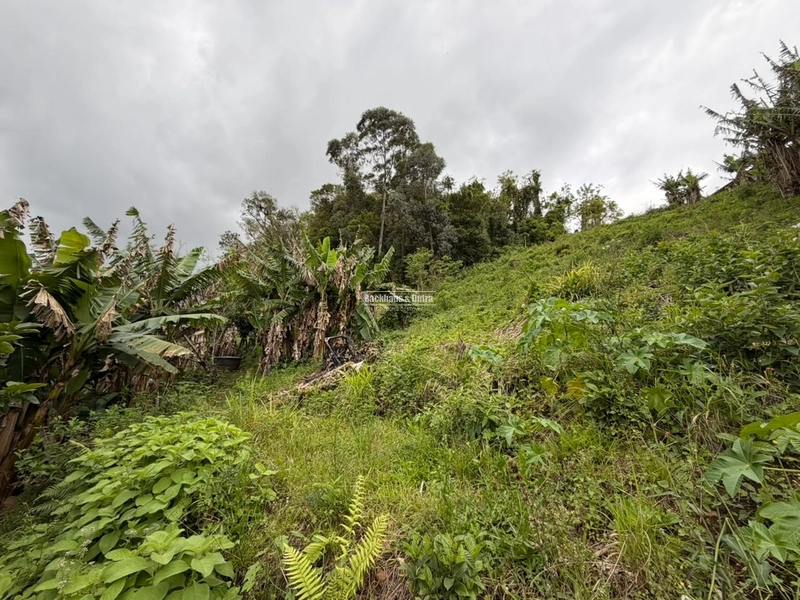 ROLANTE -SÍTIO DE 1 HECTARE -GLORIA: 9ª foto da galeria de imagens do imóvel