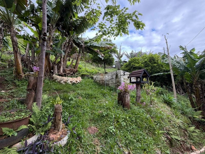 ROLANTE -SÍTIO DE 1 HECTARE -GLORIA: 6ª foto da galeria de imagens do imóvel