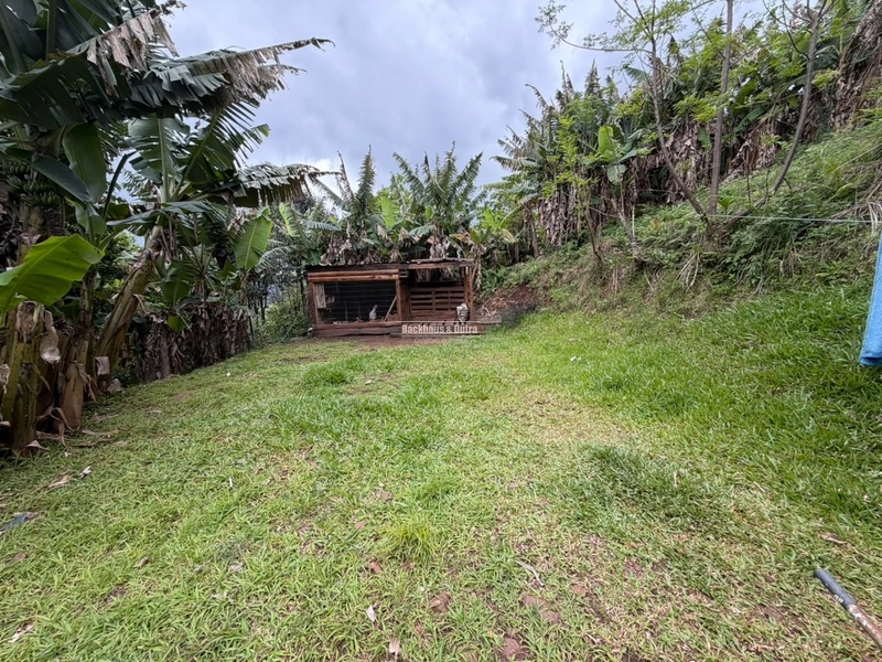 ROLANTE -SÍTIO DE 1 HECTARE -GLORIA: 8ª foto da galeria de imagens do imóvel