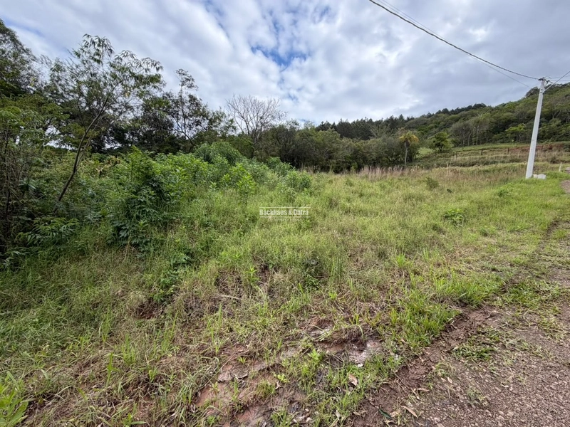 ROLANTE -TERRENO 30x60 -AREIA: 2ª foto da galeria de imagens do imóvel
