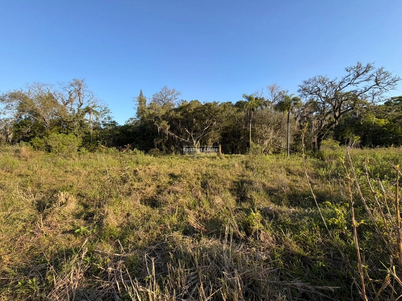 ROLANTE- SÍTIO DE 2 HECTARES - MORRO DOS FISCHER: 4ª foto da galeria de imagens do imóvel